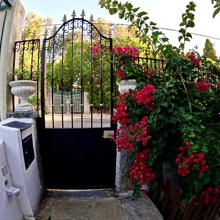 Semesterbostad Yucca House Carcavelos (Lisbon)